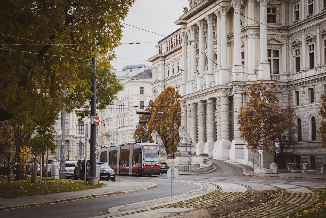 Vienna's Hidden Winter Magic: Why December Through February Beats Peak Season (And Costs Half as Much)