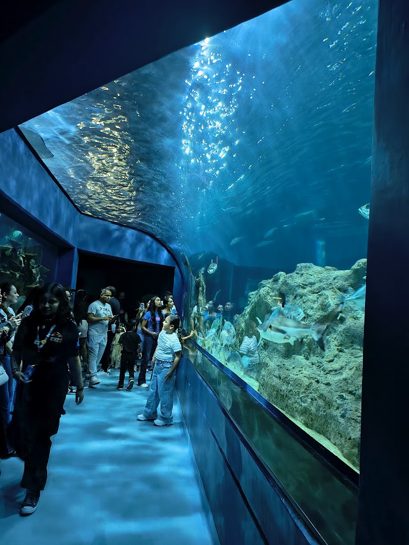 Acuario Michin Guadalajara
