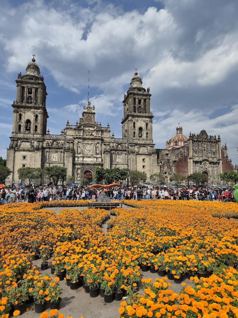 The Zócalo — FIFA Fan Festival
