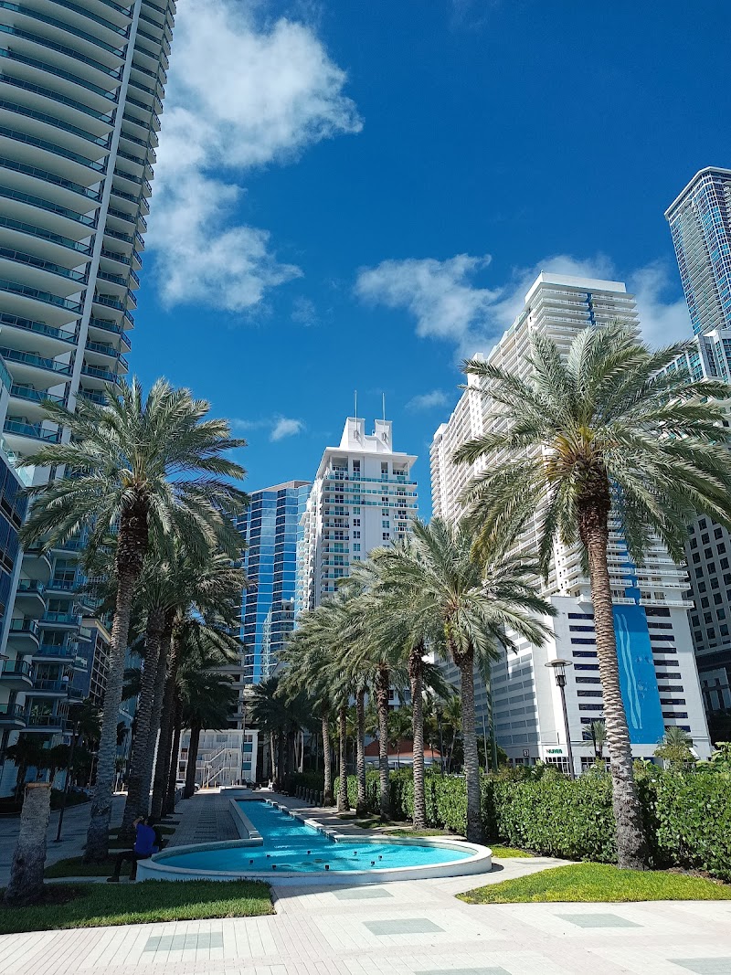 Mirador Brickell