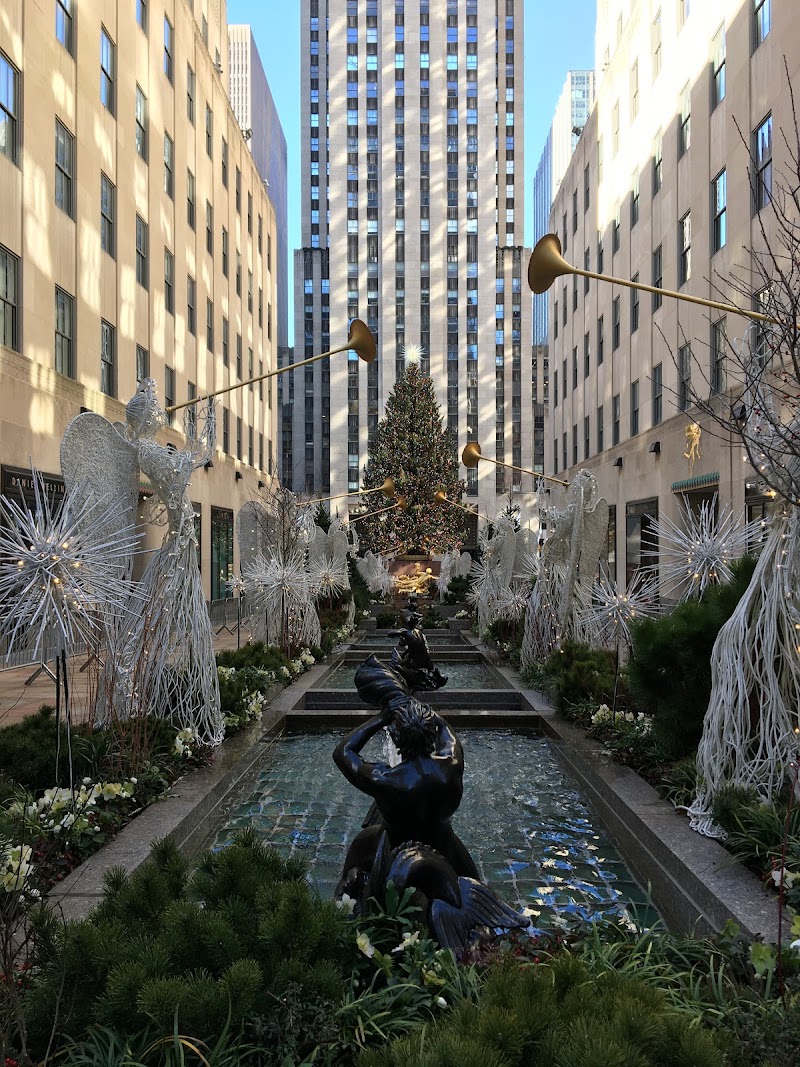 The Channel Gardens